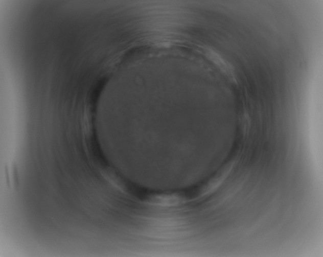 X0000113940366200910091627