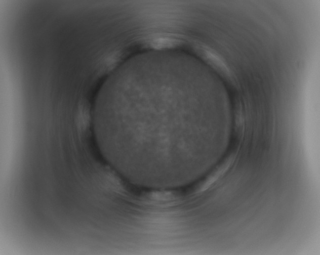 X0000113940367200910091627