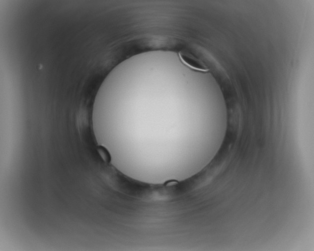 X0000113940368200910091627