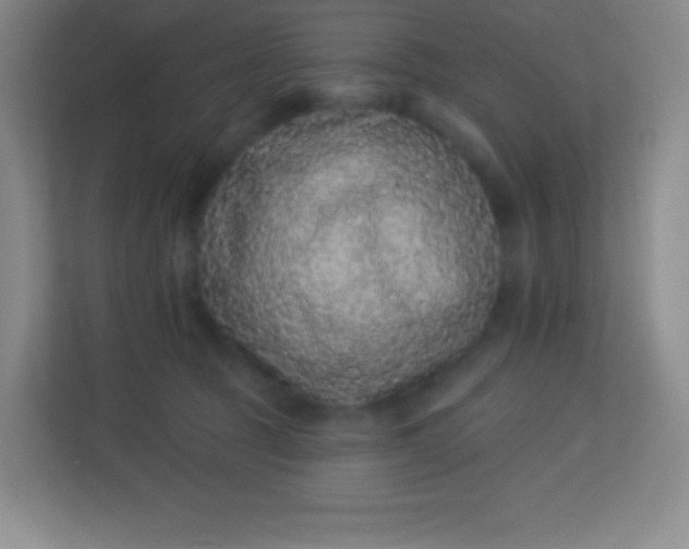 X0000113940369200910091627