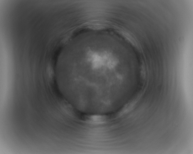 X0000113940371200910091627