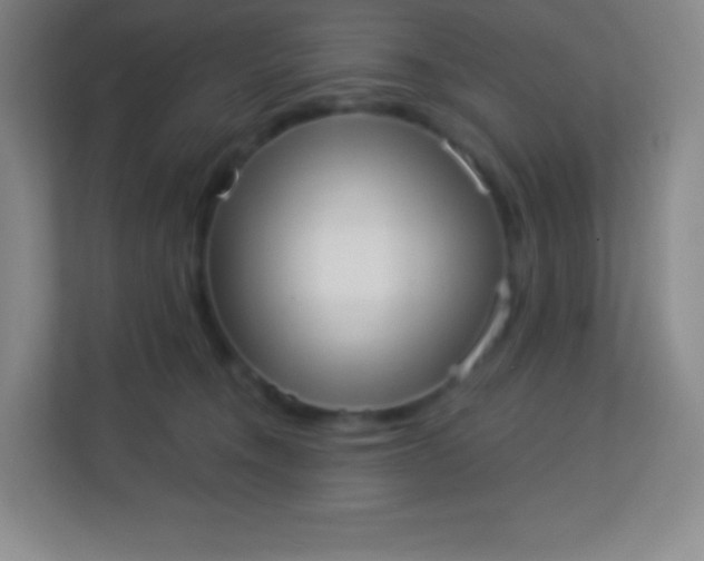 X0000113940372200910091627