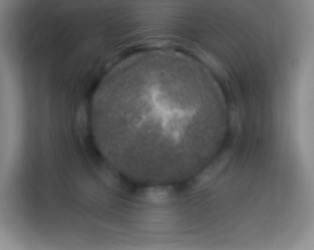 X0000113940373200910091627