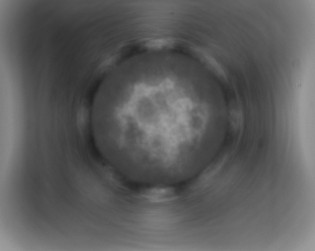 X0000113940375200910091627