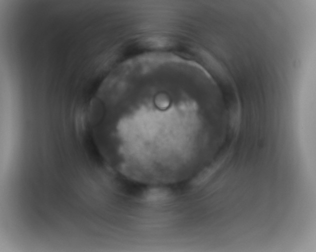 X0000113940376200910091627