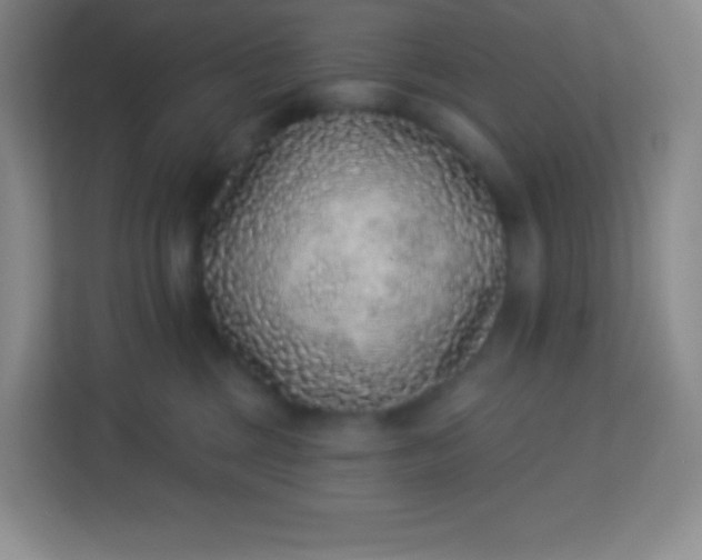 X0000113940377200910091627