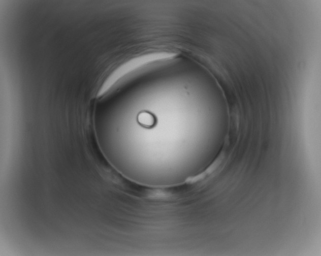 X0000113940380200910091627