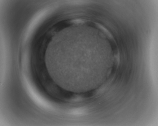 X0000113940381200910091627