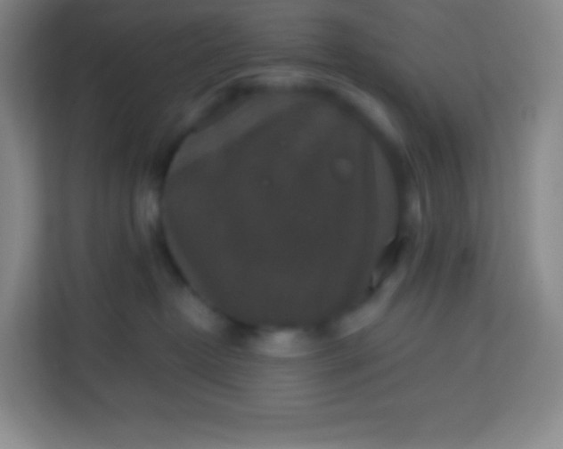 X0000113940382200910091627