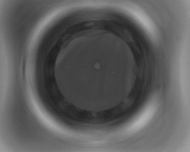 X0000113940383200910091627