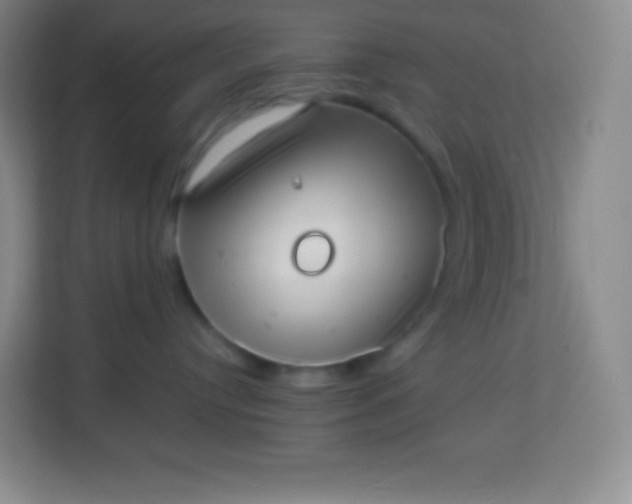 X0000113940384200910091627