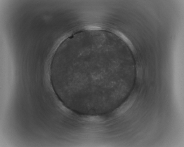 X0000113940385200910091627