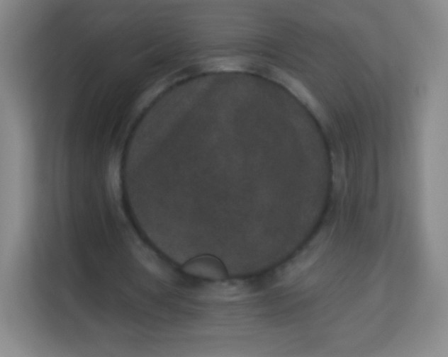 X0000113940386200910091627