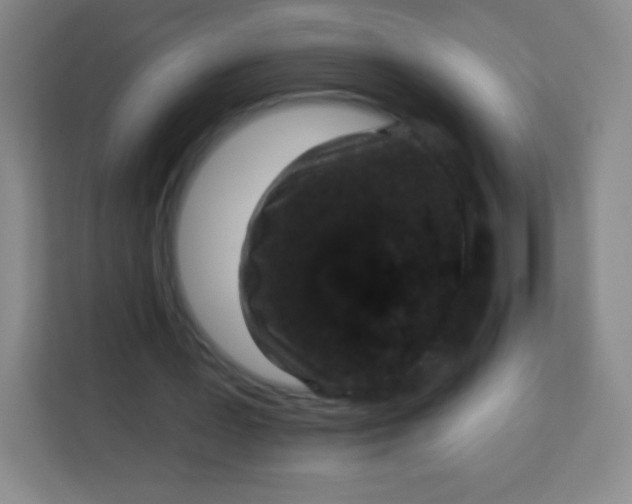 X0000113940387200910091627