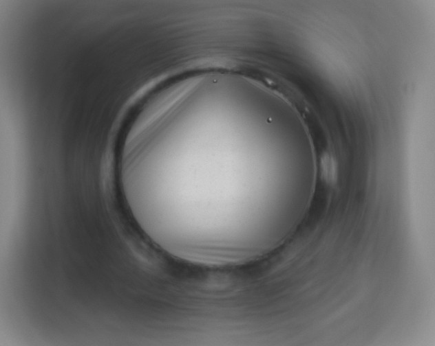 X0000113940388200910091627