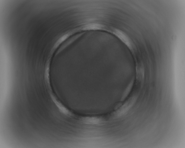 X0000113940389200910091627