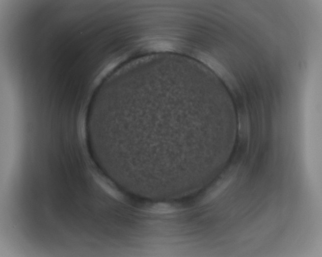 X0000113940390200910091627