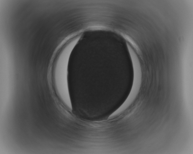 X0000113940391200910091627