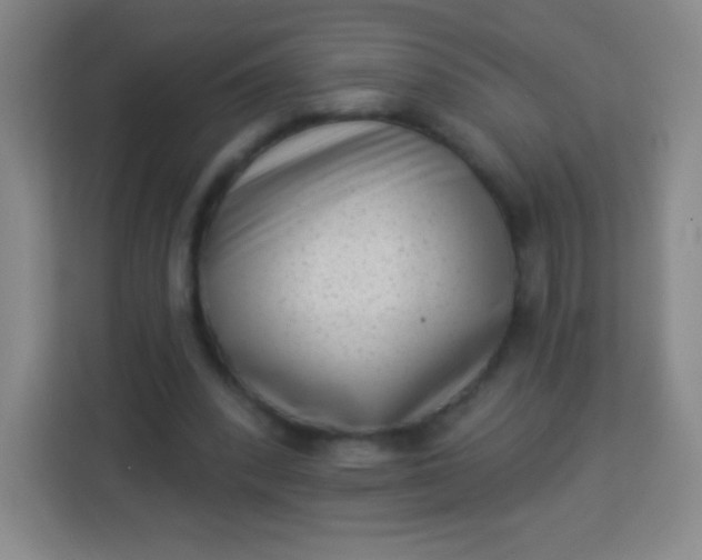 X0000113940392200910091627