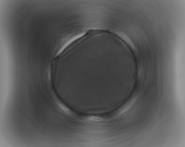 X0000113940393200910091627