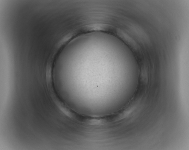 X0000113940394200910091627