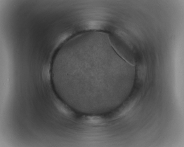 X0000113940395200910091627