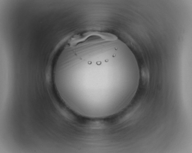 X0000113940396200910091627