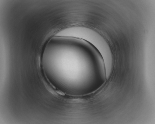 X0000113940397200910091627