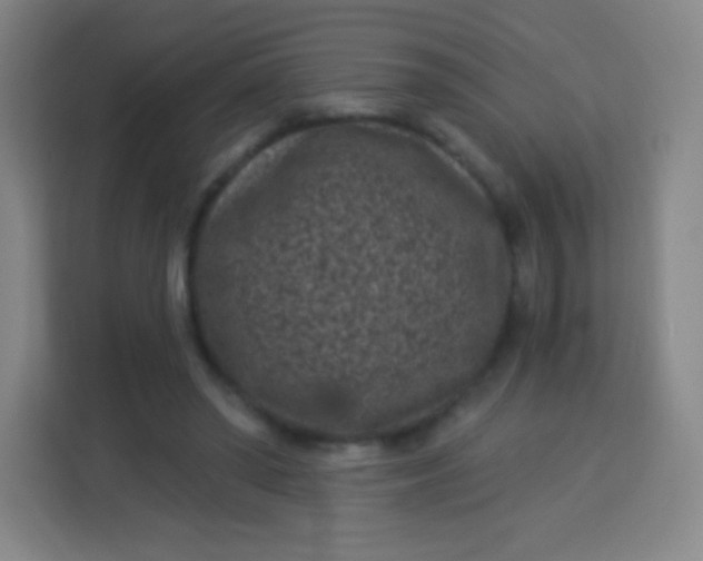 X0000113940398200910091627