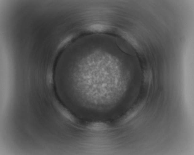 X0000113940399200910091627