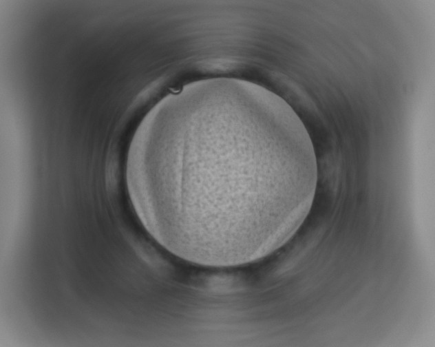 X0000113940400200910091627