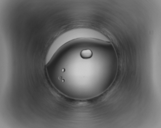 X0000113940401200910091627