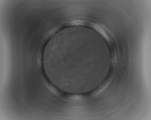 X0000113940402200910091627