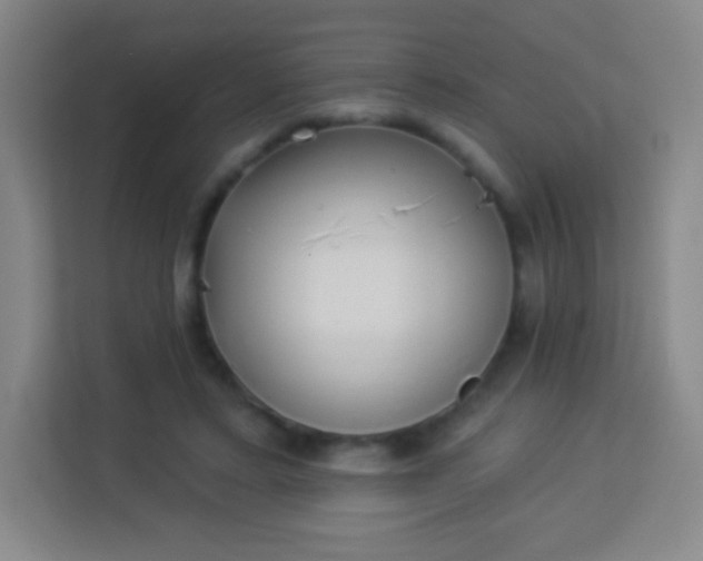 X0000113940403200910091627