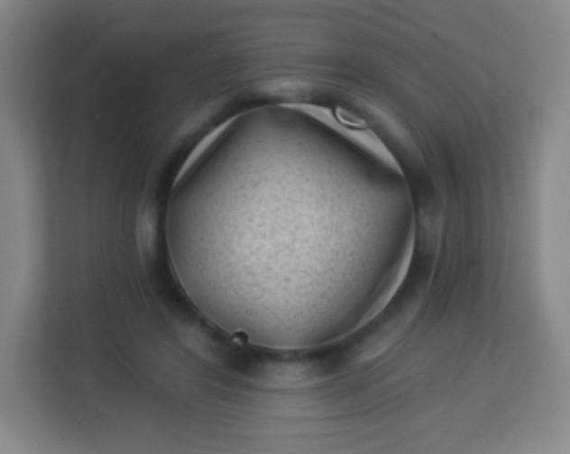 X0000113940404200910091627