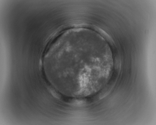 X0000113940405200910091627