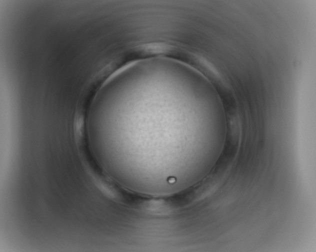 X0000113940406200910091627