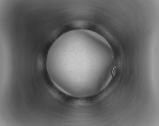 X0000113940408200910091627