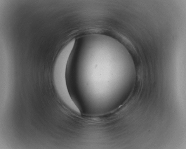 X0000113940409200910091627