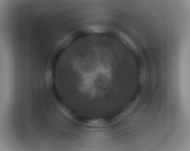 X0000113940410200910091627