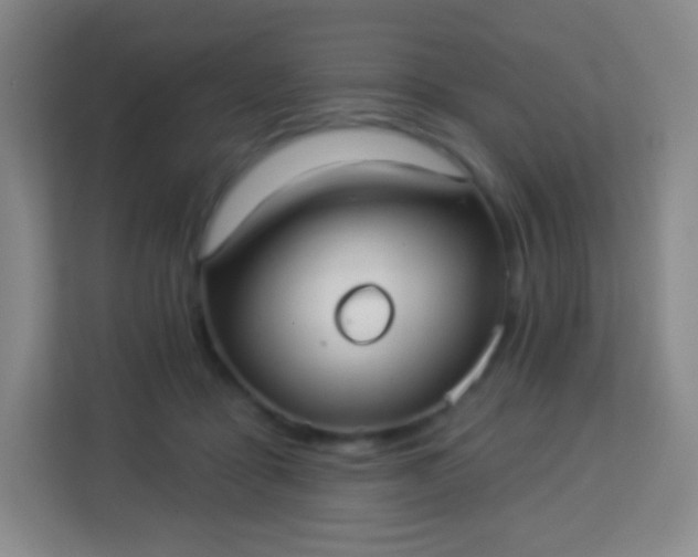 X0000113940411200910091627