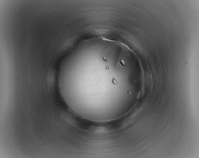 X0000113940412200910091627