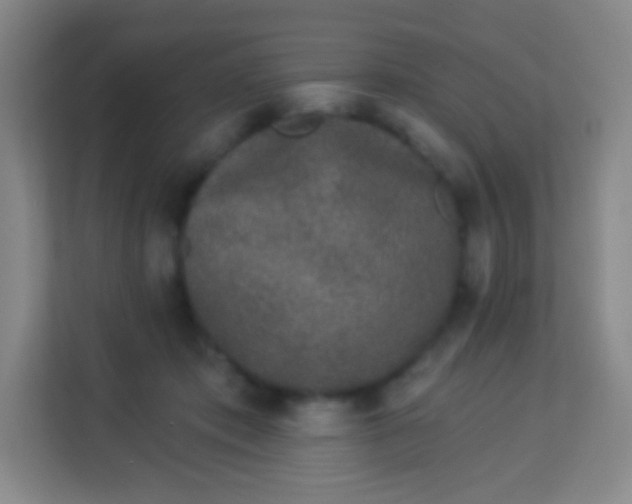 X0000113940413200910091627