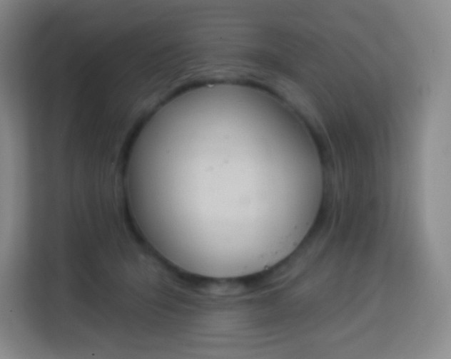 X0000113940415200910091626