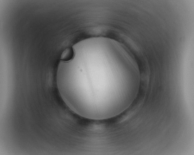 X0000113940416200910091626