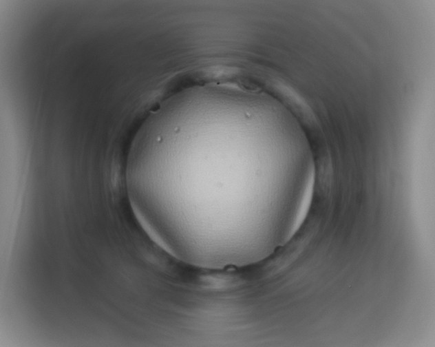 X0000113940417200910091626