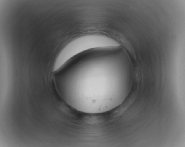 X0000113940419200910091626