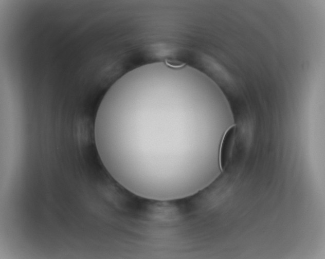 X0000113940421200910091626