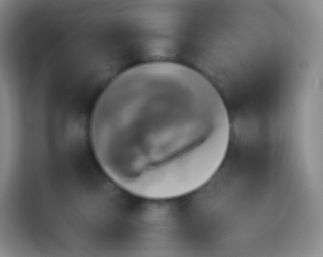 X0000113940423200910091626