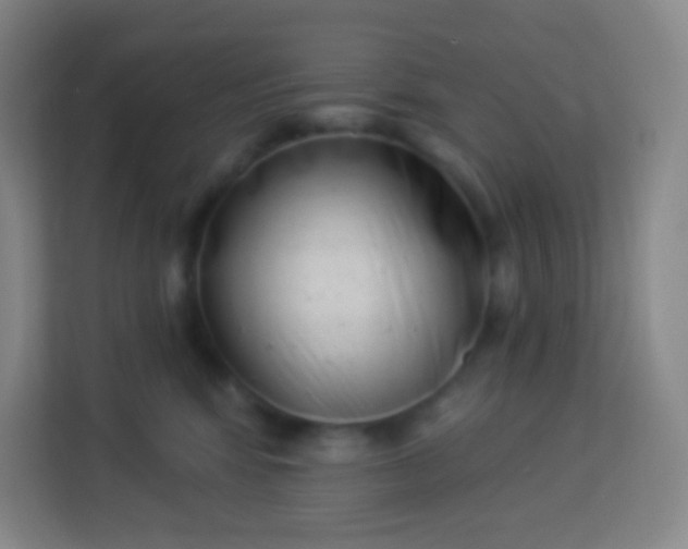 X0000113940424200910091626